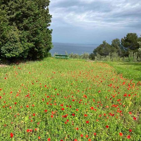 Istrian Green House Portorož Eksteriør billede